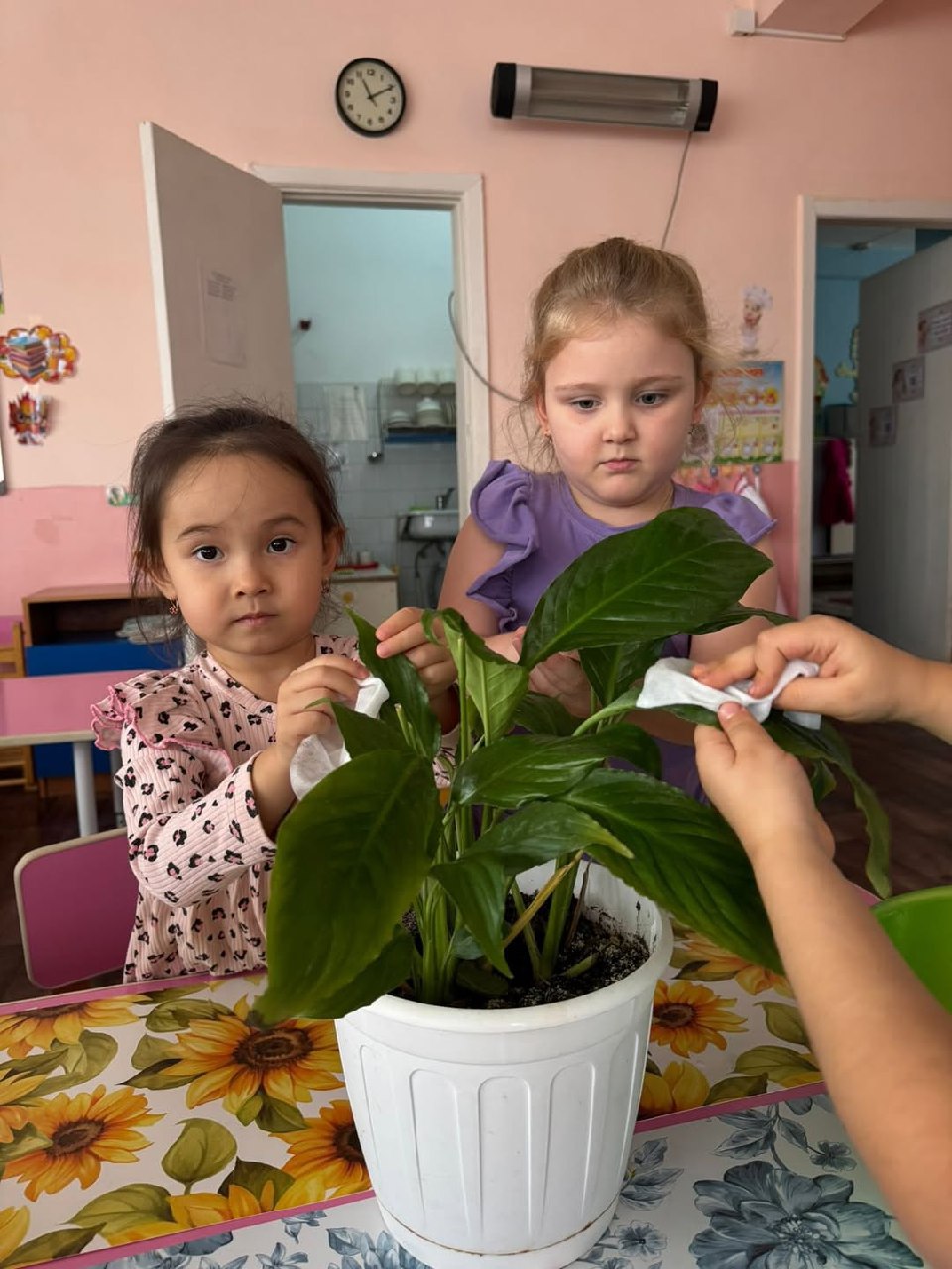 photo_5424971482640617076_y