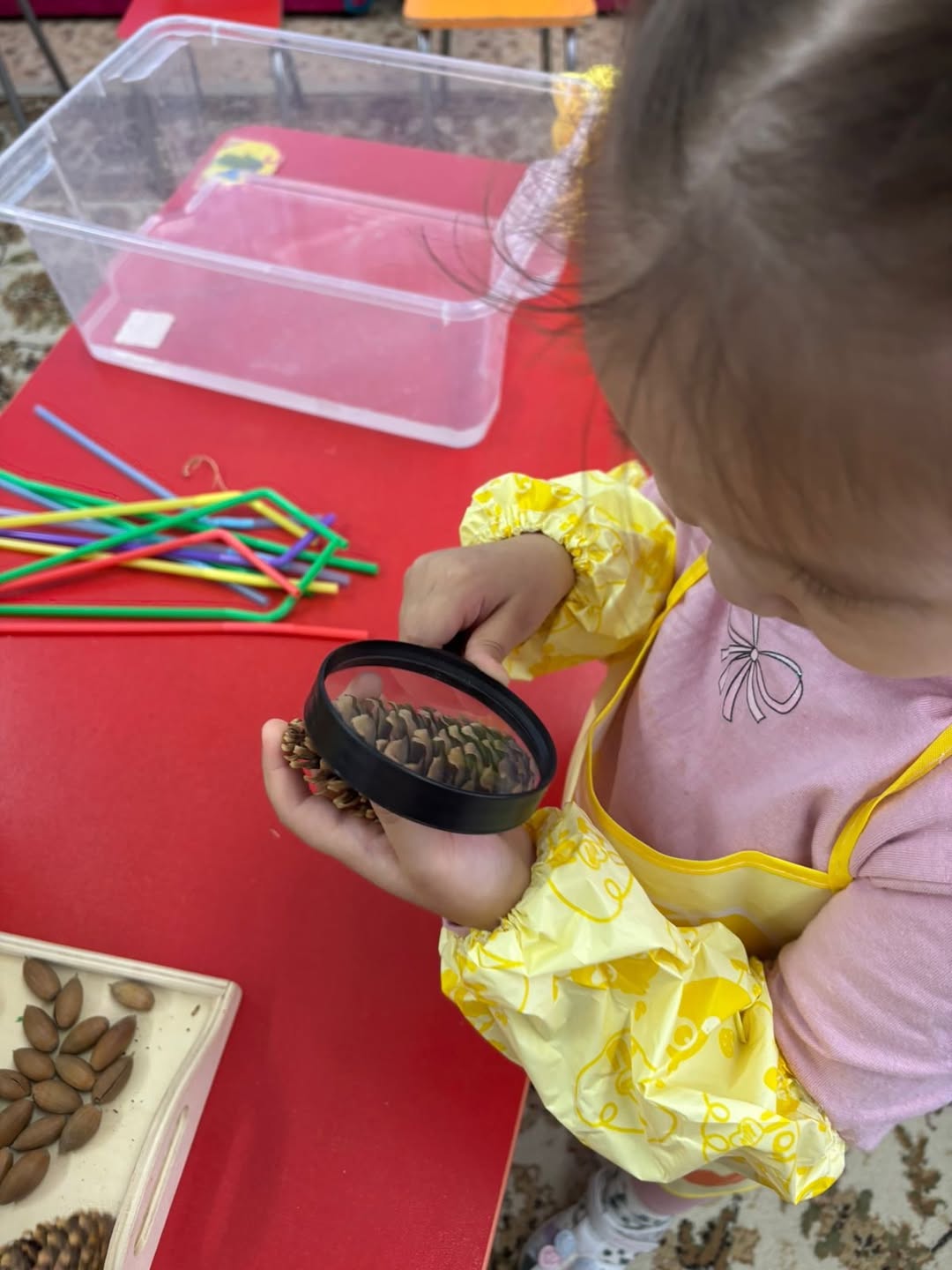 photo_5424971482640617090_w