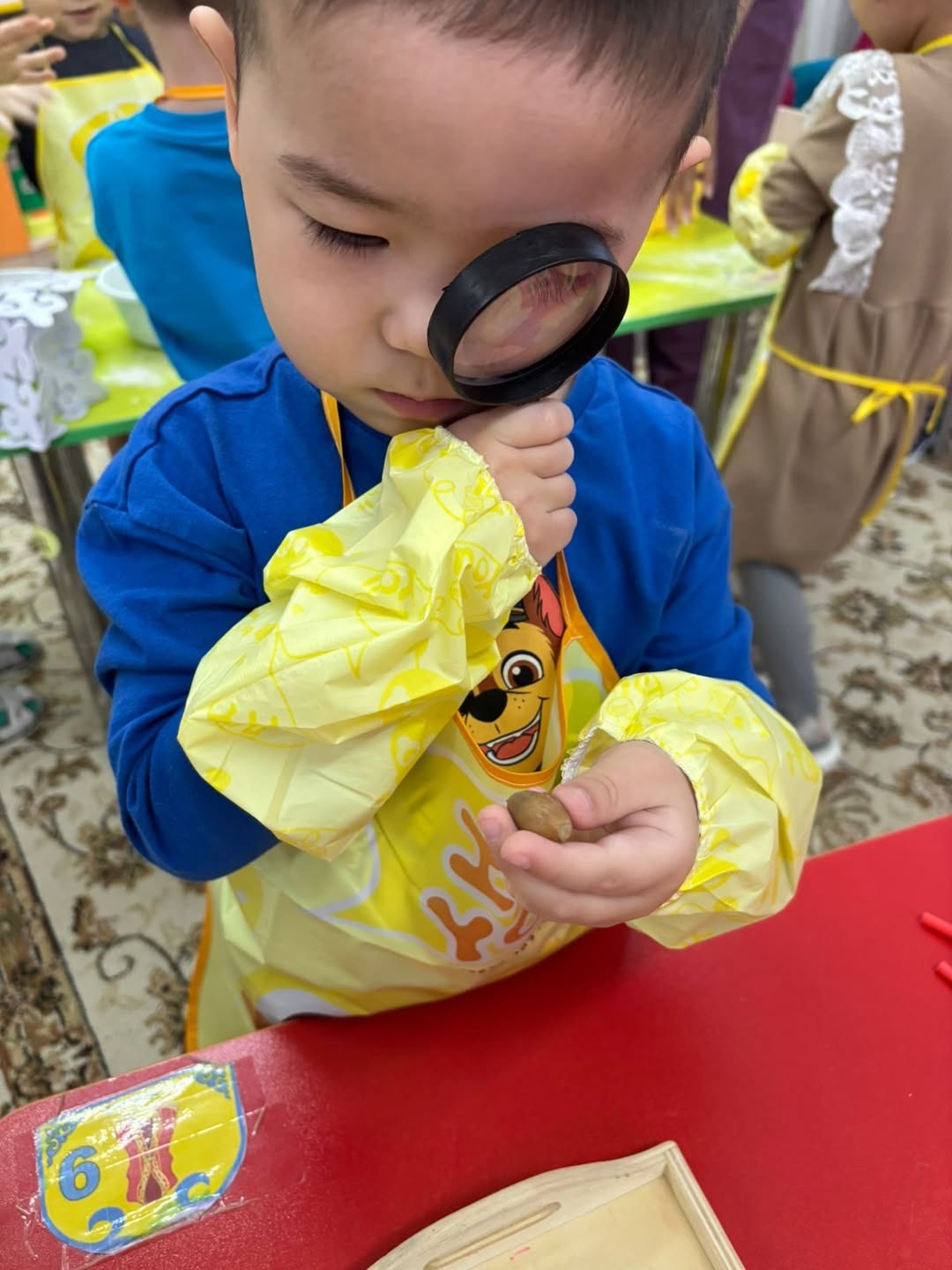 photo_5424971482640617097_w