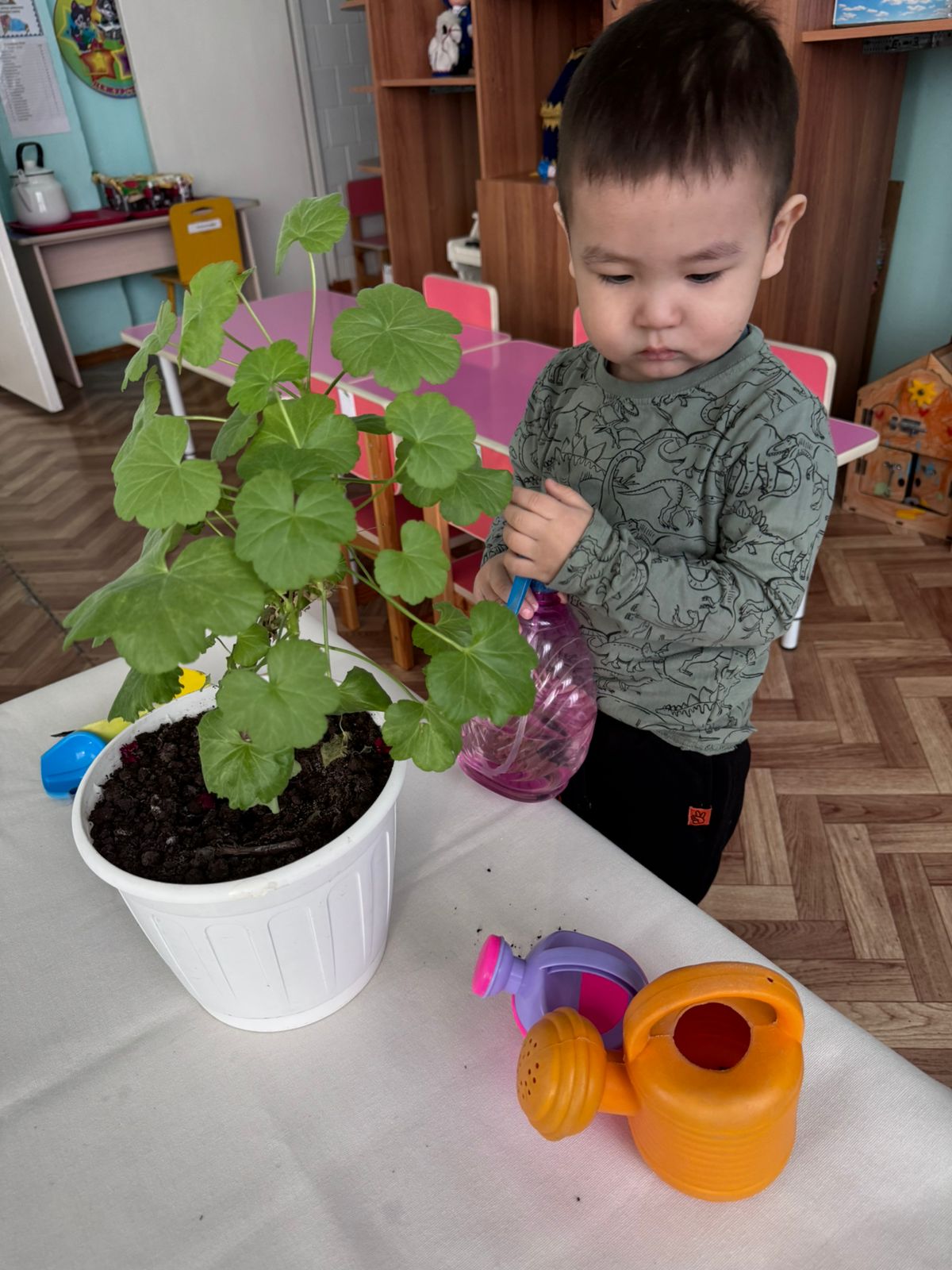 Экологическое воспитание 2